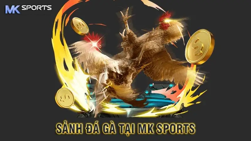 Tìm hiểu về sảnh đá gà mk sport