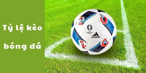 Cách Tham Gia Kèo Bóng Đá Tại MK Sport